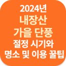내장산 이미지