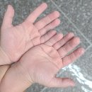 패밀리스파텔 이미지