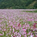 북평둔치(파크골프장 앞) 이미지