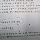 신단수디자인 이미지