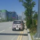 남다른감자탕 아산점 | (베이블레이드버스트) 2017.5.14.천안아산점 지역대회후기