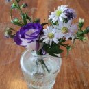 이주형 현실 상황 이미지