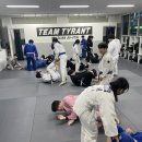 공명 유도 주짓수 이미지