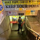 도툼 | 강남역 방어회 맛집 내돈내산 도툼횟집 솔직후기 🐟✨🤍