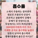 감동헤어 네이버블로그