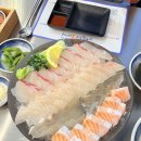 감성커피 안산반달섬점 | 반달섬 횟집 일식 안산 어촌계1번지 제철 모둠회 맛집 후기
