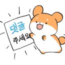 오리랜드 이미지