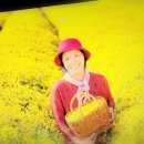 극단예린 소극장 이미지