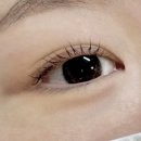 울산 달동 속눈썹펌 맛집 ‘윈느 아트뷰티’ 시술후기 주차 가격 정보