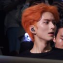 헤어 더 쿠(HAIR THE QOO) | [241115-16] 당신은 심각한 엑디즈 중독입니다🎸 #LiveAndFall 콘서트 후기 냐~