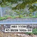 옥전캠핑장 이미지