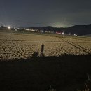 2026년4월22일 꺼벙이 이미지