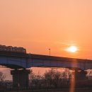 자연생태공원 잔디광장 옆 이미지