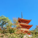 츠판 | [구몬 콘테스트] 6개월간의 구몬 화상학습 후기