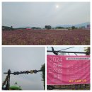 모정가든 | 7~10. 13 (7일 간, 첫째날) 강원 철원, 경기 연천, 포천, 여주(당남리섬, 강천섬) 캠핑 여행 후기입니다.
