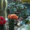 바르바커피 이미지