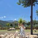 종우목장 이미지