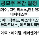 (주)캡스톤엔지니어링