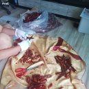 칠성지업사 이미지