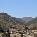 쌍계사 상록수림 이미지