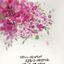 [전시] 아름다운 글씨를 쓰는 사람들...캘리그라피에 담긴 시인 나태주의 '풀꽃' 이미지