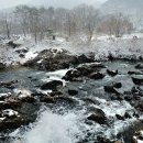 역앞 버스정류장(상행) 이미지