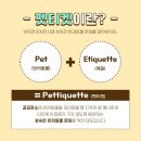 오마이멍멍 이미지