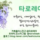 원데이홀릭 이미지