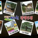 예천 가볼만한곳 ♡ 관광8경- 회룡포, 삼강주막, 금당실전통마을과 송림, 초간정 및 원림, 용문사, 곤충생태원, 석송령, 선몽대 ♡ 추천관광지 이미지