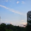 무진장축협무주지점 | 6月