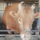 월봉농장 이미지