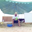 마음을 움직이는 생활 속 디자인 이야기 이미지