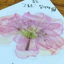 PVCS 바니바니 당근당근 바니전 (Be A Nice Influence) 방문후기 🥕🥕🥕