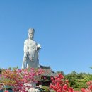 임자공인중개사사무소 이미지