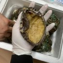 완도해성전복 이미지