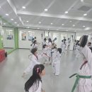 국가대표 아리랑 태권도장 이미지