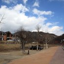 용연매점자판기 | 86. 주왕산 상의야영장 (2015년 3월 6~8일)