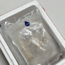 형제농수산물 손질 개조개 조개듬뿍 해물순두부찌개
