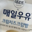 달에서 보내는 편지 #35 오늘도 또 내일도 거짓 하나 없는 나의 진심을 말하리 이미지