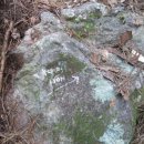 늑대와 여우 이미지