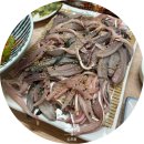 대한수산물회판매장