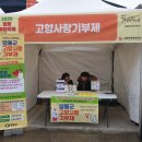 고향농특산 이미지