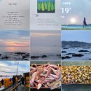 청빈낙원 | 시삼백1412.나는 가겠다_이성