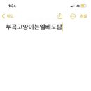 브레드킹 이미지