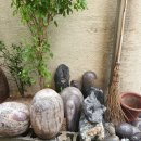 한돌농장 이미지