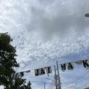 쟈마이커 | 밍건지 치앙마이 3박5일 5(부리라타나호텔/찡짜이마켓/부리다라스파/블루누들/선데이마켓)