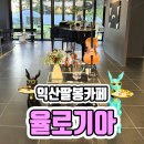 익산팔봉카페 애견동반 가능한 율로기아 방문 후기