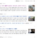 (온라인) 세계시민교육 | 인천시민 아동권리교육 셰어런팅 디지털상식 유튜브수강후기