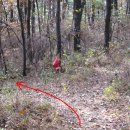 서천남산성 이미지