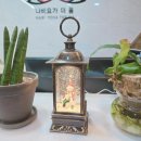 몸과 마음이 건강해지는 힐링요가 | 등촌동요가 몸과 마음이 건강해지는 나비요가더옴